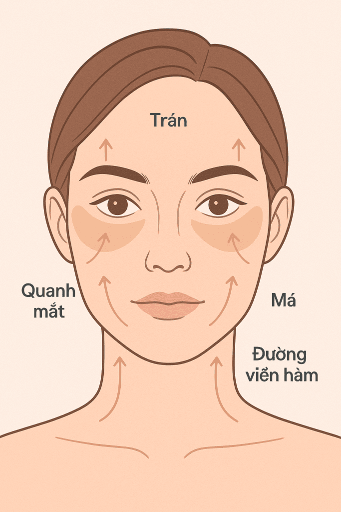 Ảnh minh hoạ: Khuôn mặt được đánh dấu các khu vực điều trị