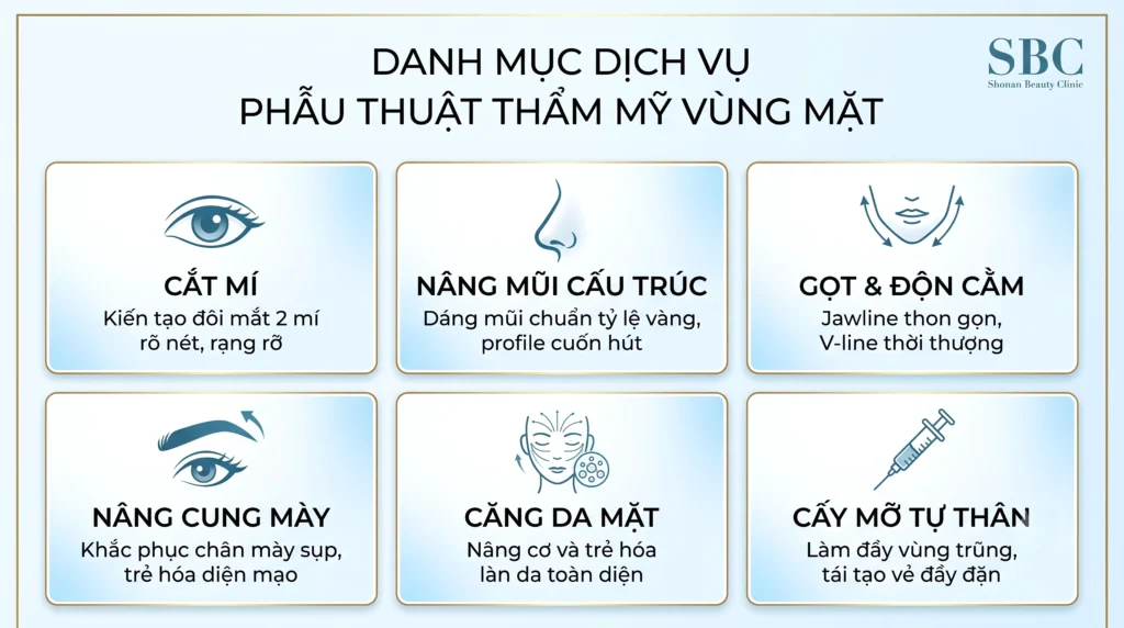 Hình ảnh minh hoạ các dịch vụ phẫu thuật thẩm mỹ tại viện thẩm mỹ SBC