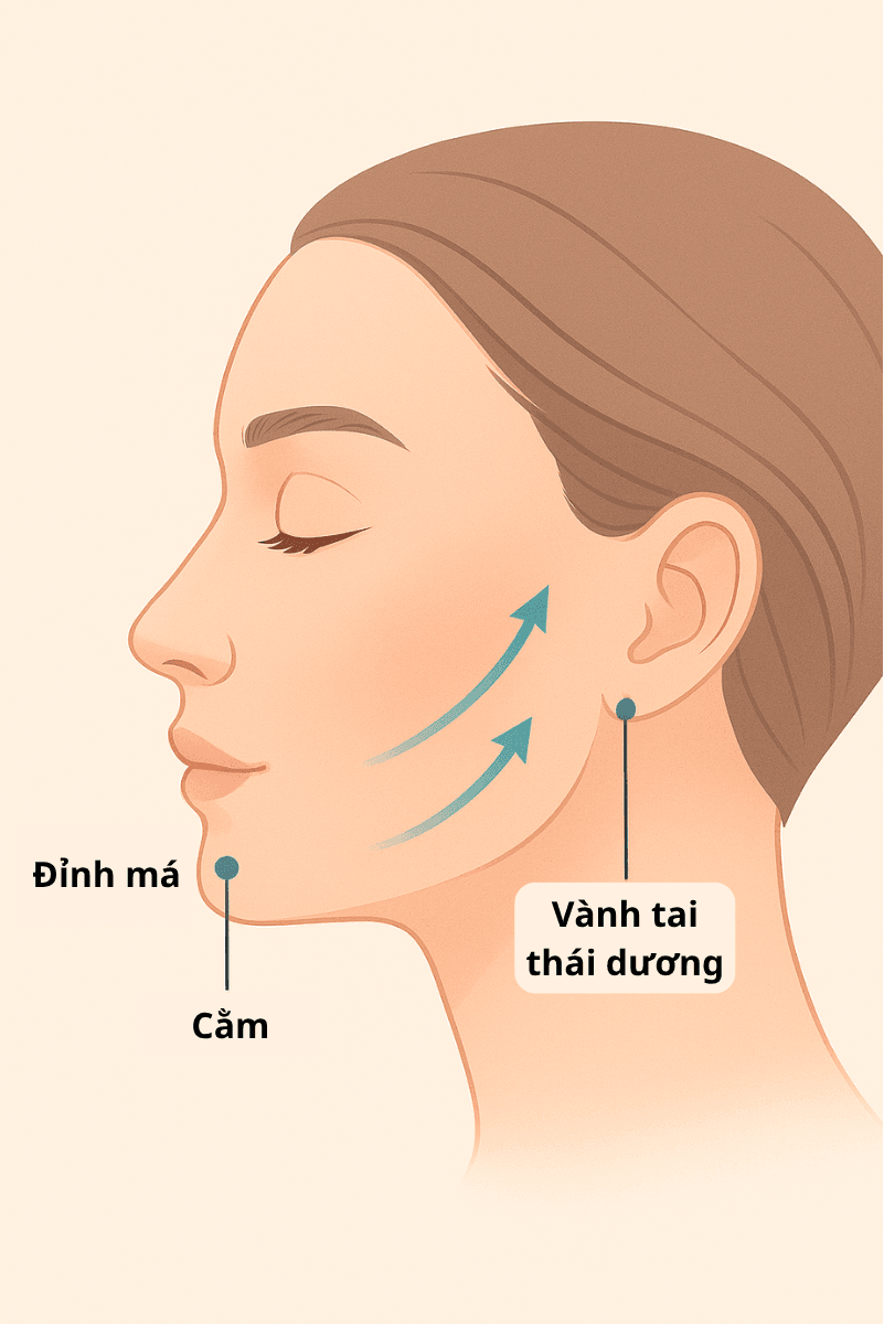 Trẻ hóa bằng tiêm: Giải pháp cho vẻ đẹp tự nhiên tại SBC 3 Ảnh minh hoạ: Đồ họa Trẻ hóa 3D phục hồi thể tích và nâng đỡ cấu trúc gương mặt tại các điểm thẩm mỹ quan trọng