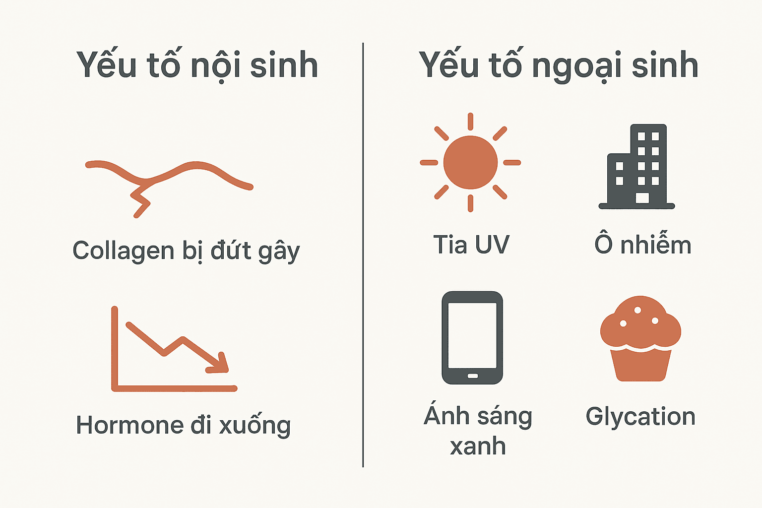 Ảnh minh hoạ: Các nguyên nhân lão hóa da nội sinh và ngoại sinh (UV, Ô nhiễm, Glycation)