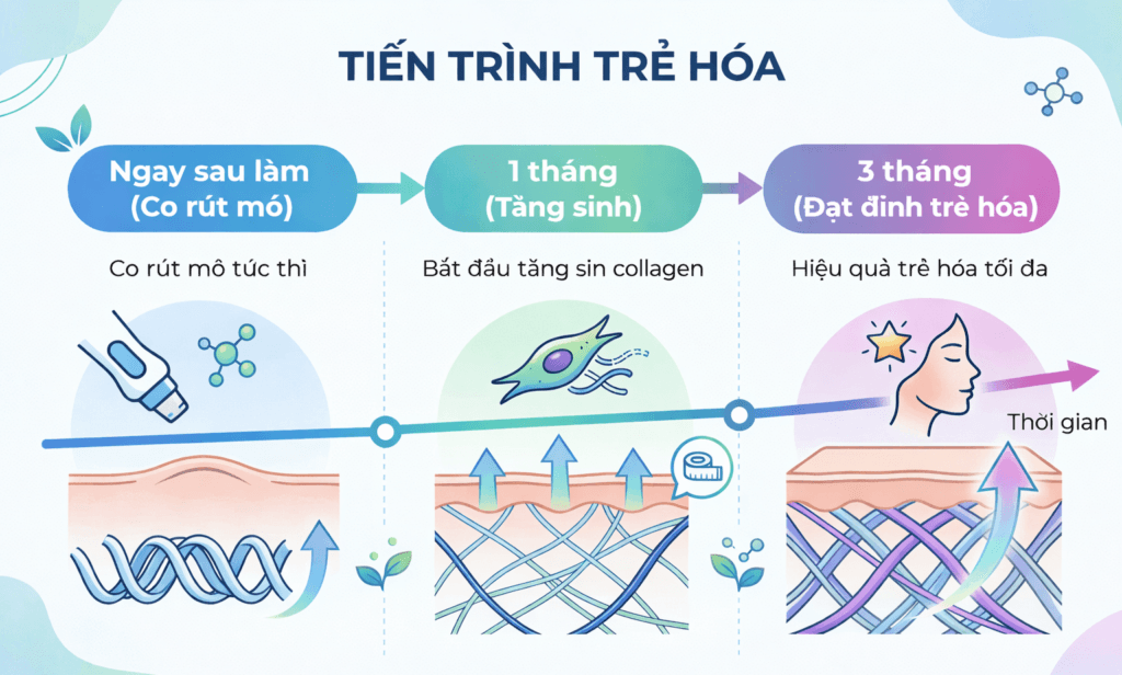 Tiến trình trẻ hoá theo giai đoạn sau khi làm MPT