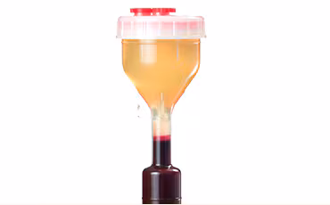 Yếu tố tăng trưởng